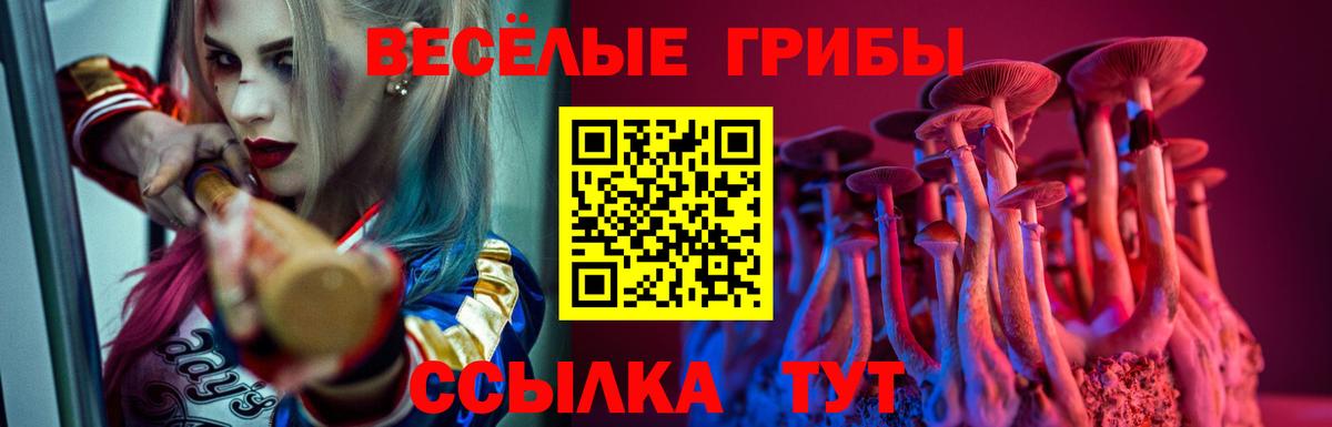 купить наркотик  Псилоцибиновые грибы ЛСД  Вход с VPN  Красноуфимск  Псилоцибиновые грибы Cubensis 